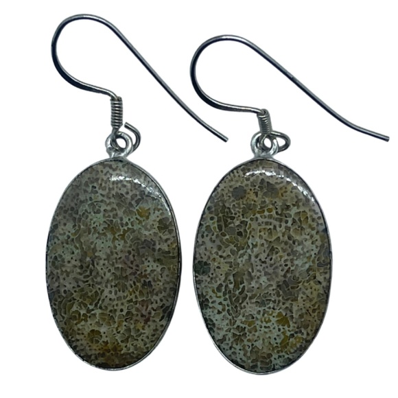 Fossilized Opal Earrings - Picture 1 of 1